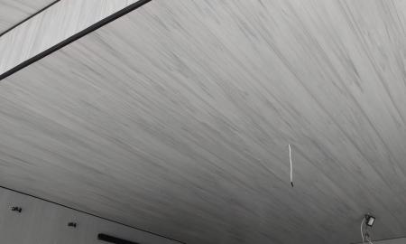 					    						  	Forro PV. Platinum 200x8mm
					  	